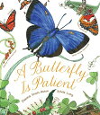 A Butterfly Is Patient BUTTERFLY IS PATIENT （Sylvia Long） Dianna Aston