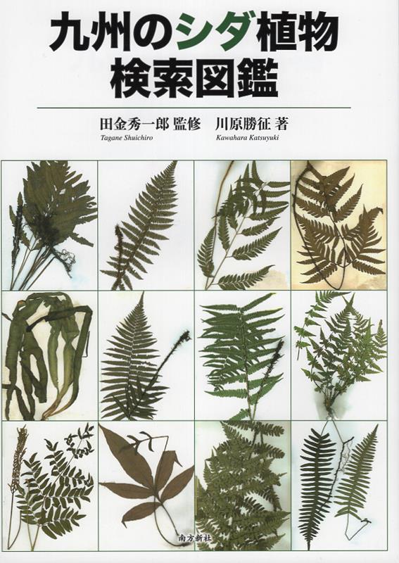 楽天市場】シダ植物 図鑑の通販 楽天市場】シダ植物 図鑑の通販