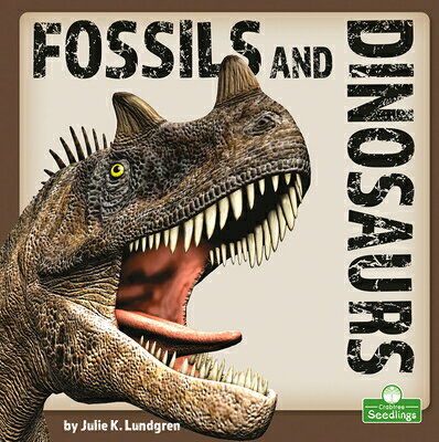 Fossils and Dinosaurs FOSSILS & DINOSAURS 