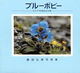 ブルーポピー