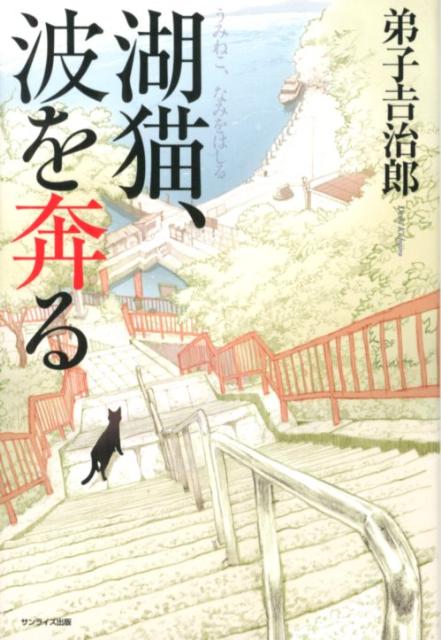 湖猫、波を奔る