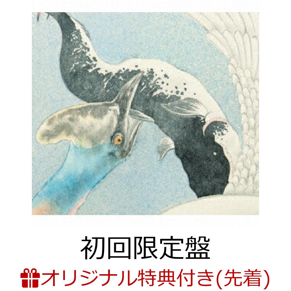 くるり、15thオリジナルアルバム『儚くも美しき12の変奏』が2026年2月にリリース決定！

前作『感覚は道標』から約2年4ヶ月。待望のニューアルバムが完成！
ドラマ主題歌「ワンダリング」、畳野彩加（Homecomings）との共演曲「Regulus」、
阪急電鉄コラボ「3323」、ナポリ録音「La Palummella」、そして最新曲「瀬戸の内」など、全12曲を収録。