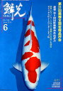 鱗光(2014-6) 第31回錦鯉全国若鯉品評会