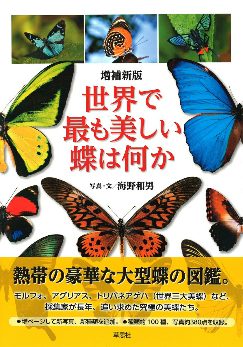 増補新版　世界で最も美しい蝶は何か [ 海野 和男 ]