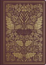 ESV Illuminated Scripture Journal: Matthew ESV ILLUMINATED MATTHEW 