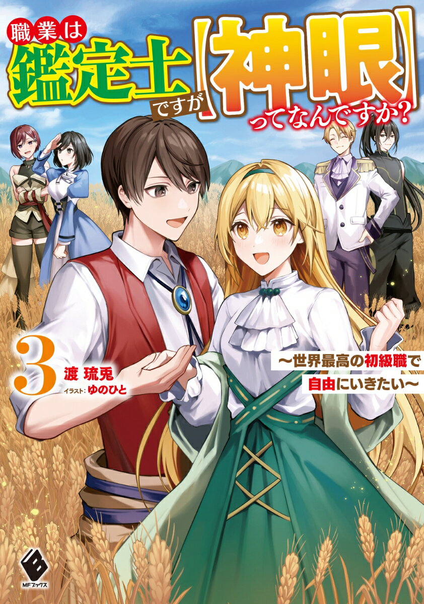 職業は鑑定士ですが【神眼】ってなんですか？　〜世界最高の初級職で自由にいきたい〜 3