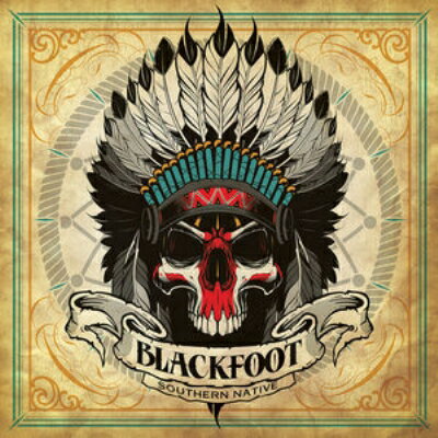 【輸入盤】Southern Native