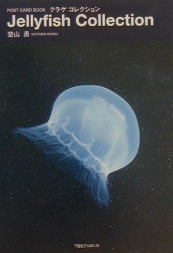 クラゲ　コレクション