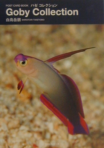 ハゼ　コレクション