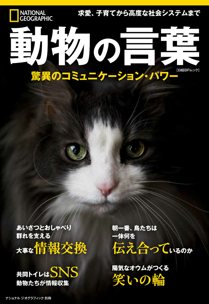 動物の言葉　驚異のコミュニケーション・パワー （ナショナル ジオグラフィック別冊） [ ナショナル ジオグラフィック ]