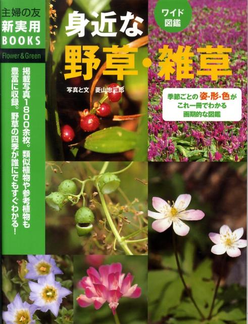 身近な野草・雑草