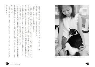 家族になる日 のら猫の命をつなぐ物語 （動物感動ノンフィクション） [ 春日走太 ]