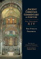 Alberto Ferreiro presents patristic commentary on the Twelve Prophets (the so-called Minor Prophets), bringing new understanding to the books of both the Old and NewTestaments.