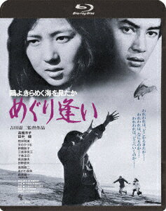 鴎よ、きらめく海を見たか めぐり逢い【Blu-ray】