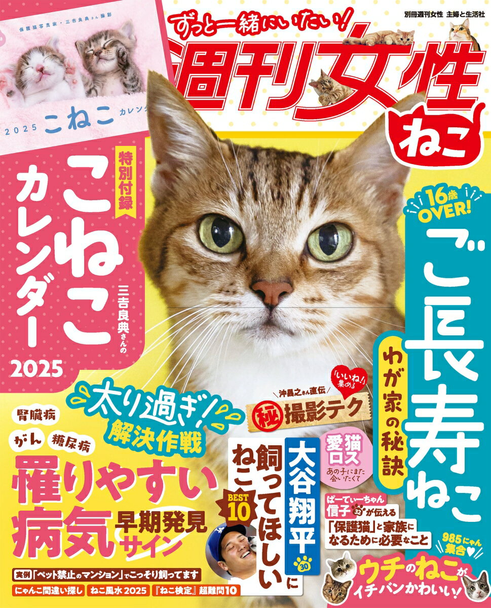 週刊女性 ねこ