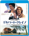 ギルバート・グレイプ【Blu-ray】 [ ジョニー・デップ ]