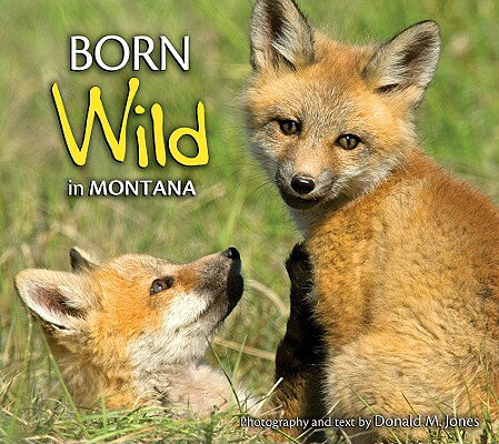 Montana is where the wild things arebaby wild things! This collection of candid and comical images by respected wildlife photographer Donald M. Jones is devoted entirely to the state's junior residents, from red fox kits to red-necked grebe chicks, great gray owlets to black bear cubs. Come along and witness these creatures at play, exploring the new world that surrounds them. Informative captions accompany the 96 high-quality color photographs.