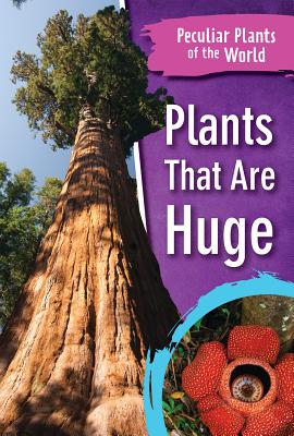 PLANTS THAT ARE HUGE Peculiar Plants of the World Beatrice Loukopoulos POWERKIDS PR2018 Library　Binding English ISBN：9781538344880 洋書 Computers & Science（コンピューター＆科学） Science