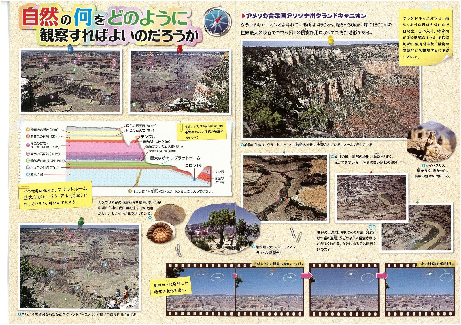 スーパー理科事典4訂版 知りたいことがすぐ分かる！ [ 齊藤隆夫 ]