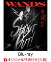 【楽天ブックス限定先着特典】WANDS Live Tour 2023 ～SHOUT OUT！～【Blu-ray】(クリアポーチ) WANDS