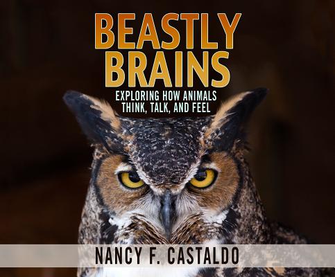 Beastly Brains: Exploring How Animals Think, Talk, and Feel BEASTLY BRAINS D [ Nancy F. Castaldo ]