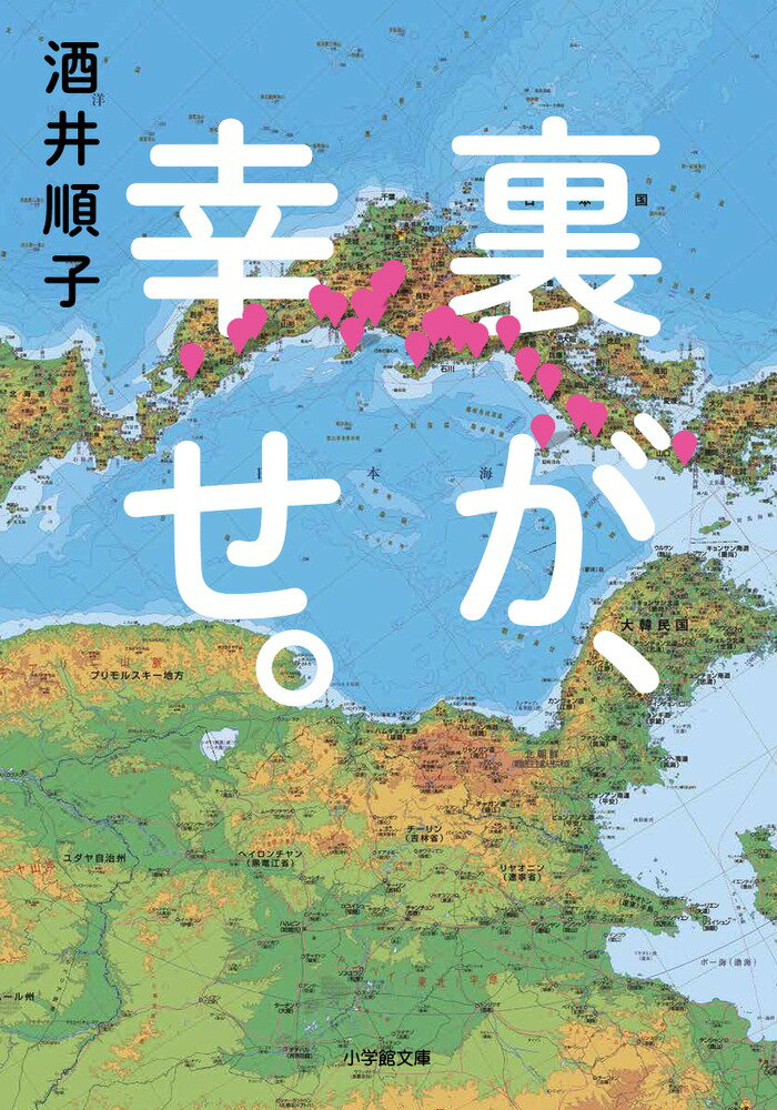 派手で明るいことがよしとされてきた、これまでの太平洋側中心の価値観に、見事に風穴を開け、大反響を得たエッセイ。日本の幸福は、「裏日本」にある。日本海側の魅力満載、酒井版『陰翳礼讚』。