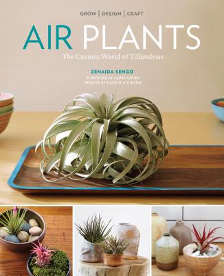 AIR PLANTS(P)