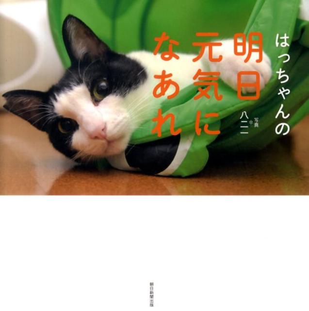 はっちゃんの明日元気になあれ