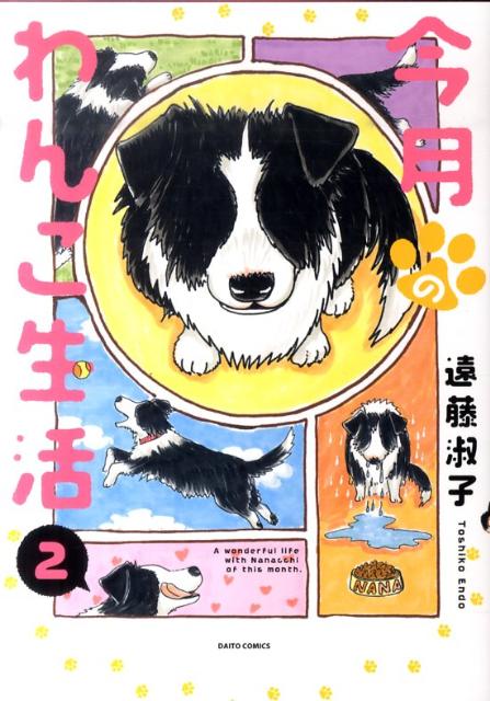 今月のわんこ生活 第2巻 表紙