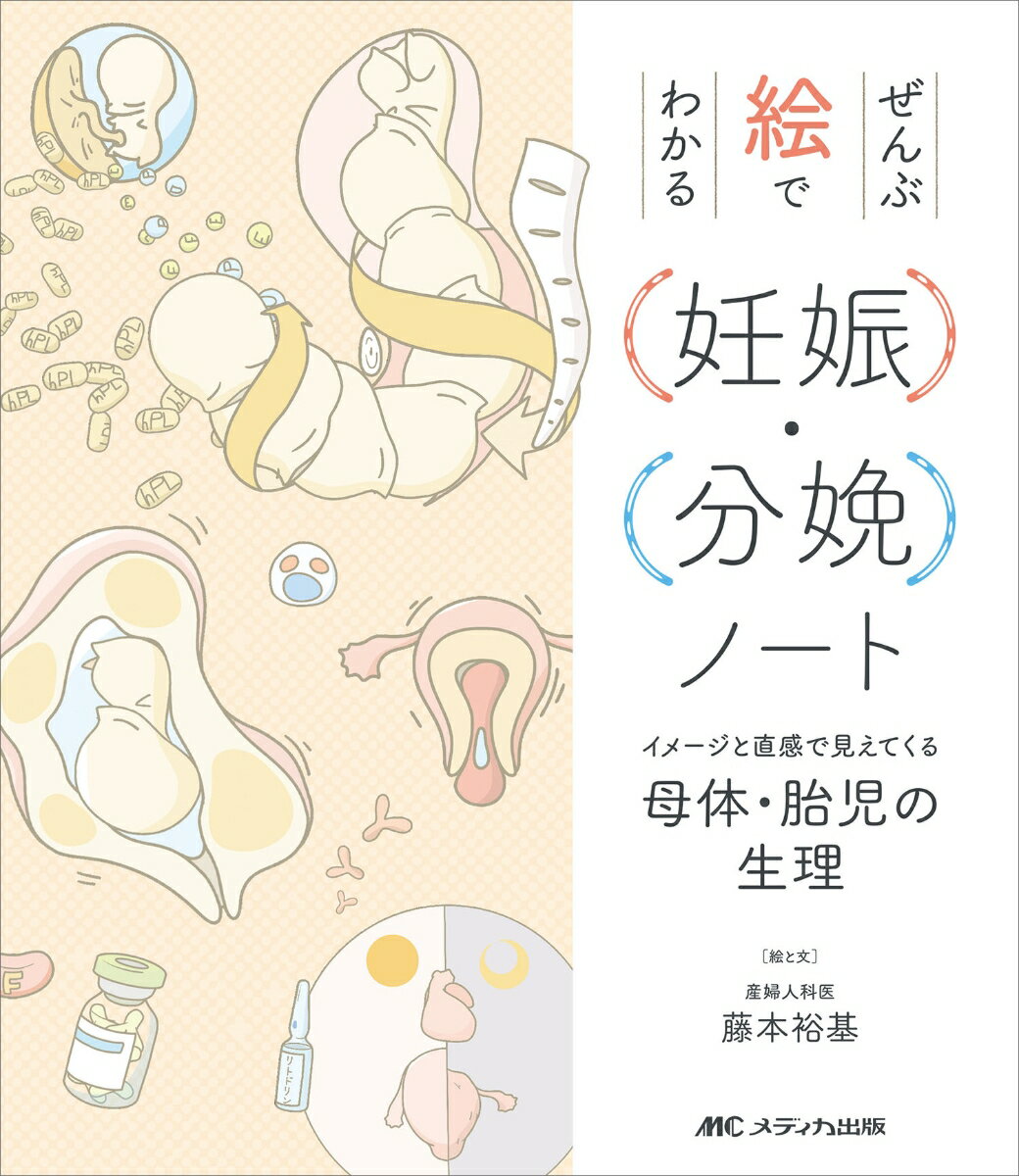 ぜんぶ絵でわかる妊娠・分娩ノート イメージと直感で見えてくる母体・胎児の生理 