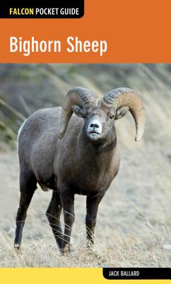 Bighorn Sheep BIGHORN SHEEP （Falcon Pocket Guides） [ Jack Ballard ]