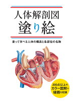 人体解剖図塗り絵 塗って学べる人体の構造と各部位の名称