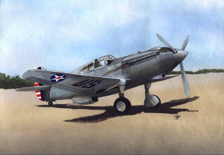 LF7259 1/72 カーチス XP-40