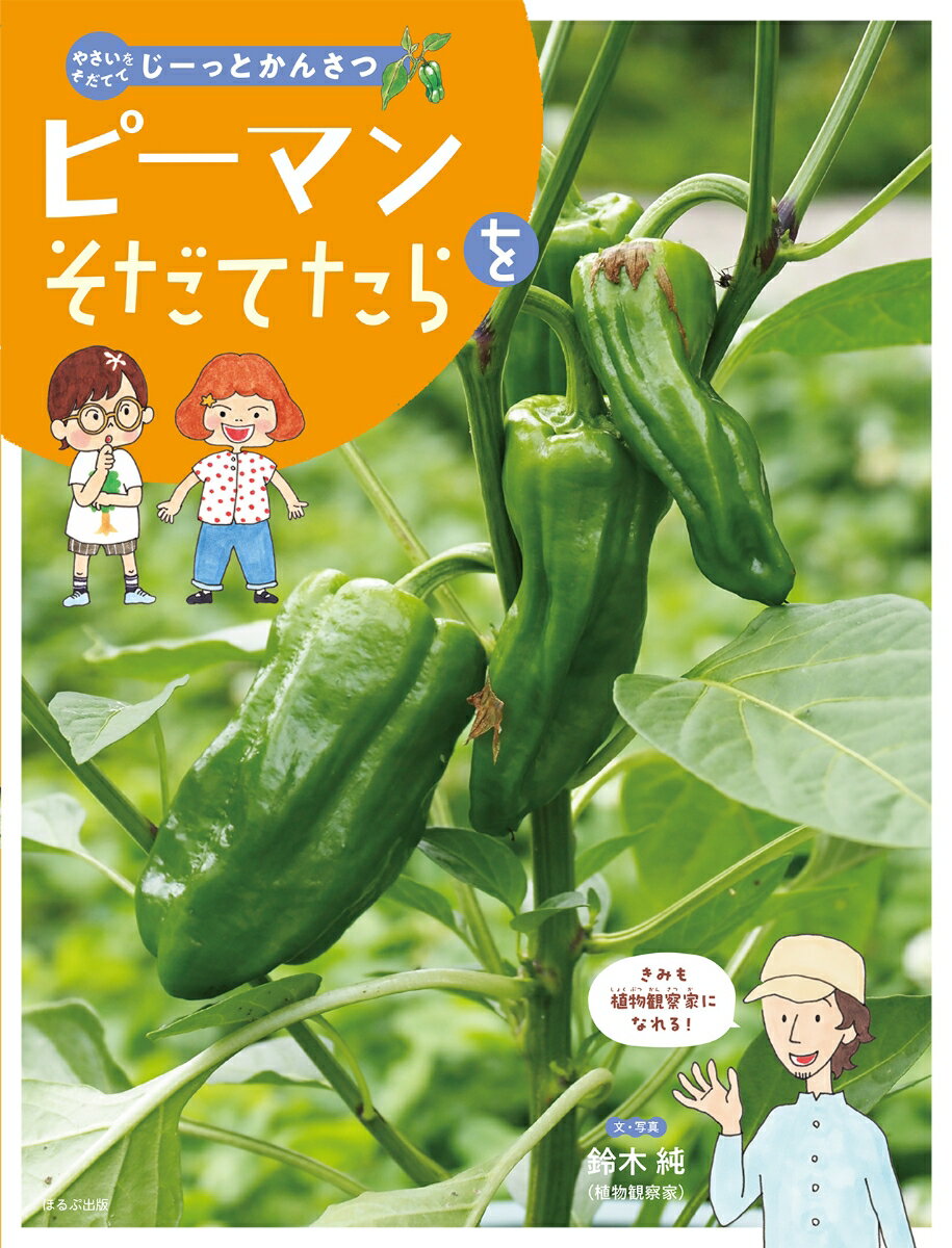 ピーマンをそだてたら