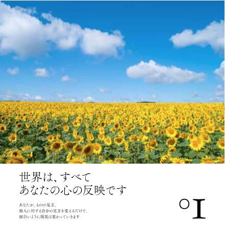眺めるだけで幸運が舞い込む引き寄せ日めくり (...の紹介画像2