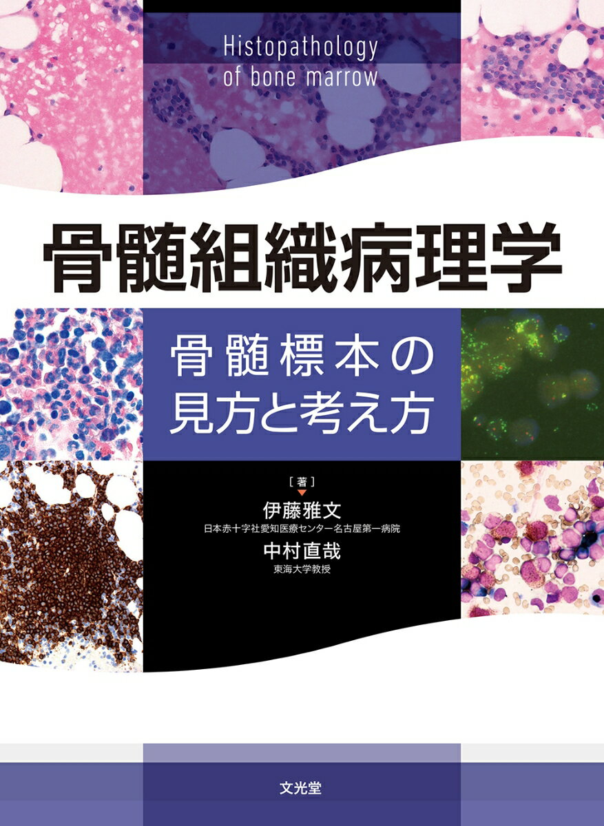 骨髄組織病理学 骨髄標本の見方と考え方