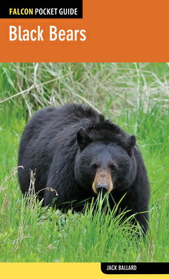 Black Bears BLACK BEARS （Falcon Pocket Guides） [ Jack Ballard ]