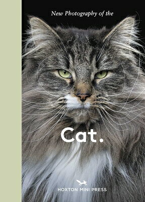 New Photography of the Cat.