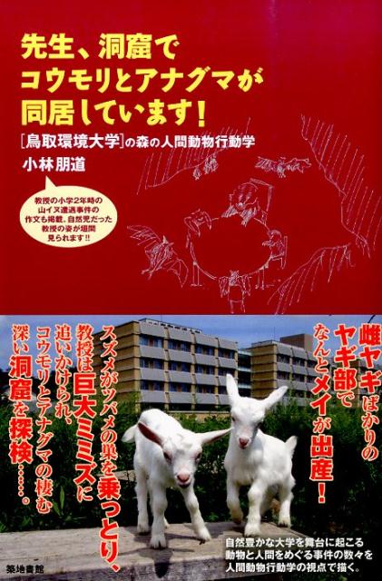 鳥取環境大学の森の人間動物行動学 小林朋道 築地書館センセイ ドウクツ デ コウモリ ト アナグマ ガ ドウキョシテイマス コバヤシ,トモミチ 発行年月：2015年06月 ページ数：237p サイズ：単行本 ISBN：9784806714941 小林朋道（コバヤシトモミチ） 1958年岡山県生まれ。岡山大学理学部生物学科卒業。京都大学で理学博士取得。岡山県で高等学校に勤務後、2001年鳥取環境大学講師、2005年教授。2015年より公立鳥取環境大学に名称変更。専門は動物行動学、人間比較行動学。これまで、ヒトも含めた哺乳類、鳥類、両生類などの行動を、動物の生存や繁殖にどのように役立つかという視点から調べてきた。現在は、ヒトと自然の精神的なつながりについての研究や、水辺や森の絶滅危惧動物の保全活動に取り組んでいる（本データはこの書籍が刊行された当時に掲載されていたものです） マンガンの探掘坑道に棲むコウモリたちーえっ、アナグマと同居！？／先生、○×コウモリが、なんと△□を食べています！ーコウモリをめぐる三つの事件／私が、谷川で巨大ミミズ（！）に追われた話ーなぜ人は特定の動物に極度な嫌悪感を抱くのか／ドンコが水面から空中へ上半身を出すときー愛すべき、ひたむきで屈強な魚／地面を走って私に近寄ってきたモモンガームササビも生息する芦津の森にて／大学の総務課のYoさんとNaさんがスズメを助けた話ーさすが環境大学！／ヤギ部初、子ヤギの誕生！ーなんで産むんだ！？なんで母親じゃないヤギまで乳を出すんだ！？ 雌ヤギばかりのヤギ部でなんとメイが出産！スズメがツバメの巣を乗っとり、教授は巨大ミミズに追いかけられ、コウモリとアナグマの棲む深い洞窟を探検…。自然豊かな大学を舞台に起こる動物と人間をめぐる事件の数々を、人間動物行動学の視点で描く。 本 科学・技術 動物学