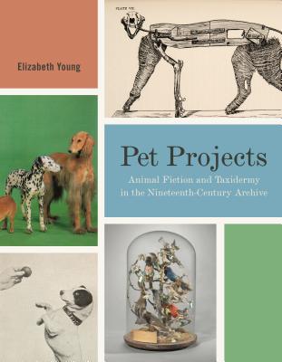 Pet Projects: Animal Fiction and Taxidermy in the Nineteenth-Century Archive PET PROJECTS （Animalibus） 