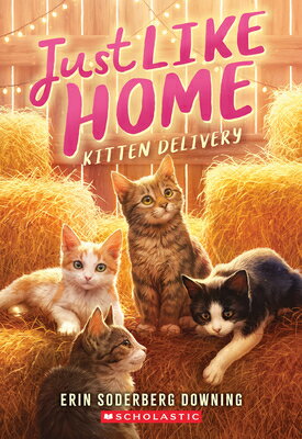 Kitten Delivery (Just Like Home, Book Two) KITTEN DELIVERY (JUST LIKE HOM [ Erin Soderberg Downing ]
