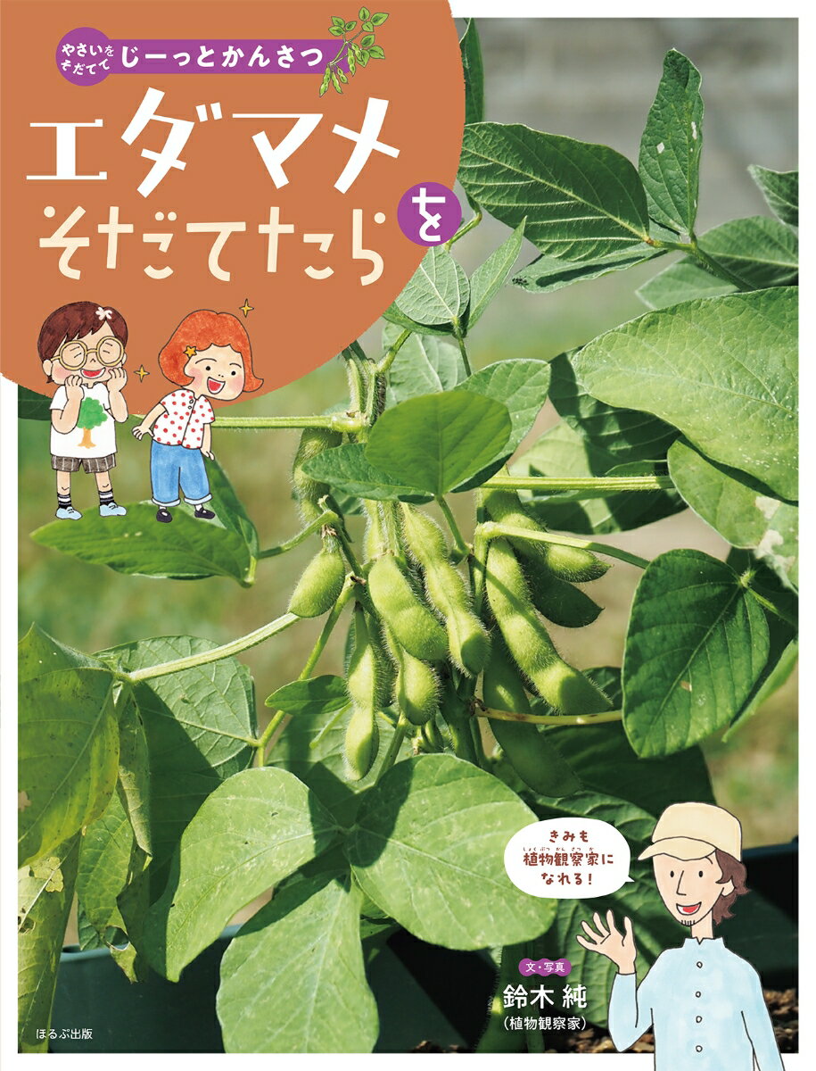 エダマメをそだてたら （やさいをそだててじーっとかんさつ） [ 鈴木 純 ]