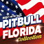 BEST HITS feat. PITBULL & FLO RIDA COLLECTION