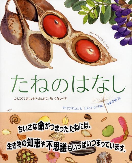 たねのはなし かしこくておしゃれでふしぎな、ちいさないのち [ ダイアナ・アストン ]