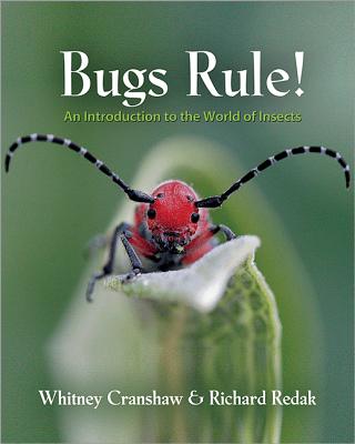 Bugs Rule!: An Introduction to the World of Insects BUGS RULE [ Whitney Cranshaw ]