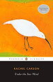 For the centennial of the birth of "Silent Spring" author Rachel Carson, a new edition of her groundbreaking paean to the sea 
 Celebrating the mystery and beauty of birds and sea creatures in their natural habitat, "Under the Sea-Wind"-Rachel Carson