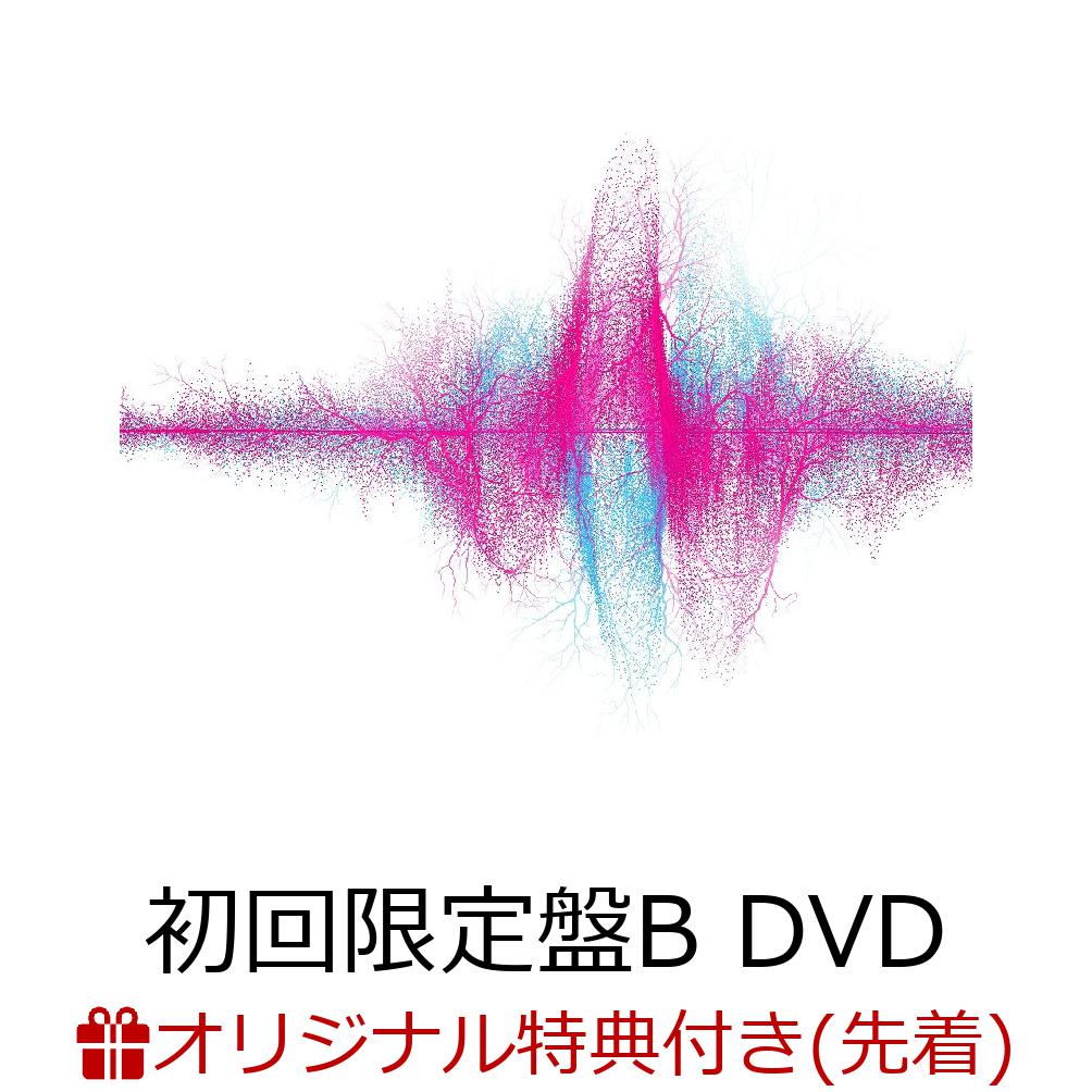 【楽天ブックス限定配送パック】【楽天ブックス限定先着特典】音楽 (初回生産限定盤B CD＋DVD)(オリジナルA4クリアファイル) [ SUPER BEAVER ]