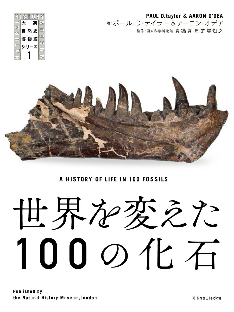 世界を変えた100の化石