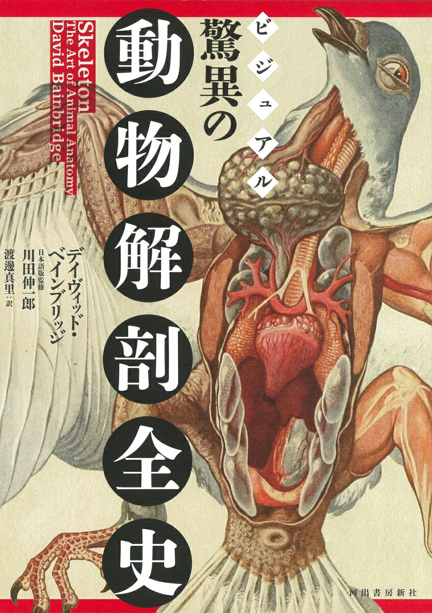 白鳥 北国の風景をつくった使者たち [ 竹田津実 ]