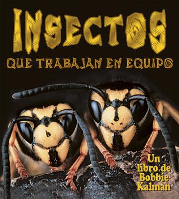Insectos Que Trabajan En Equipo (Insects That Work Together) SPA-INSECTOS QUE TRABAJAN EN E （El Mundo de los Insectos (The World Of Insects)） 